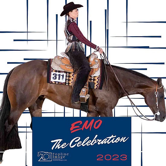 EMO The Celebration