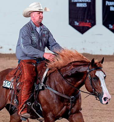 Cowhorse.1.jpg