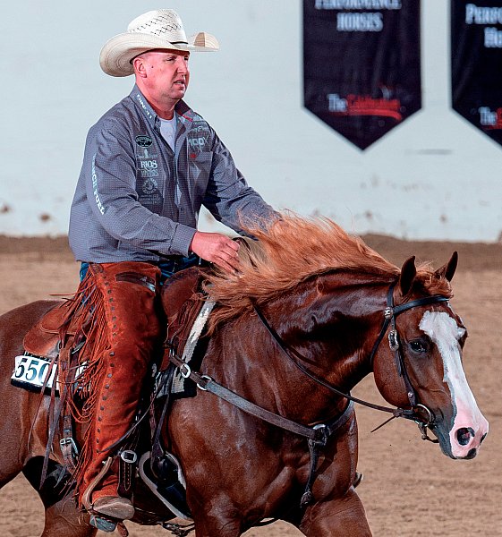 Cowhorse.1.jpg